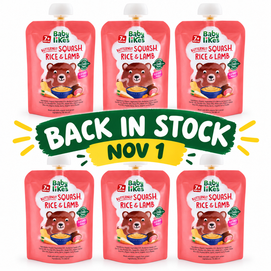 Halal Baby Food Pouches Made with Organic Ingredients – Butternut Squash, Rice and Lamb Stew (Stage 2 Weaning, 7+ Months) | 6 x 130g | No Added Sugar, No Preservatives, No Added Salt